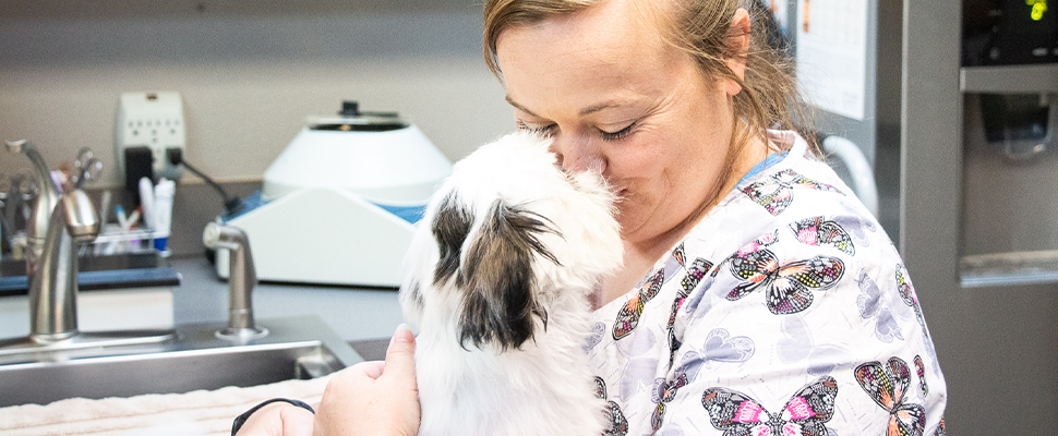 Highlands-Eldorado Veterinary Hospital - New Clients Welcome