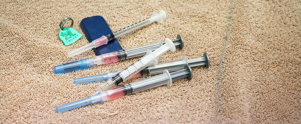 Highlands-Eldorado Veterinary Hospital - Vaccinations